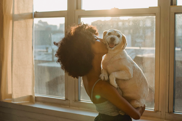 Preparing for a Pet Sitter: Tips for a Stress-Free Vacation