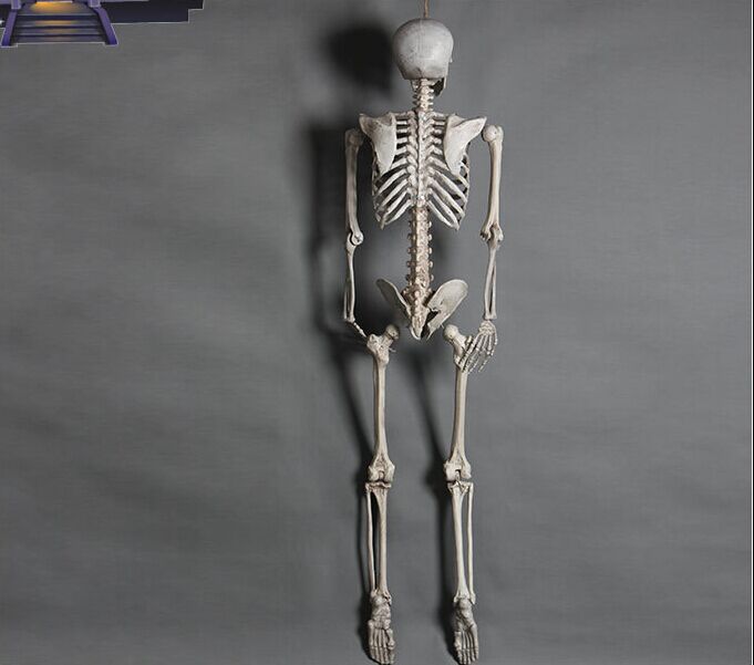 Halloween Horror Skull Hanging Sitting Skeleton Bone-Seasonal & Holiday Decorations-LifeGetsEasy