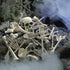 Halloween Skeleton Bones 28pcs Haunted House Decoration-Seasonal & Holiday Decorations-LifeGetsEasy