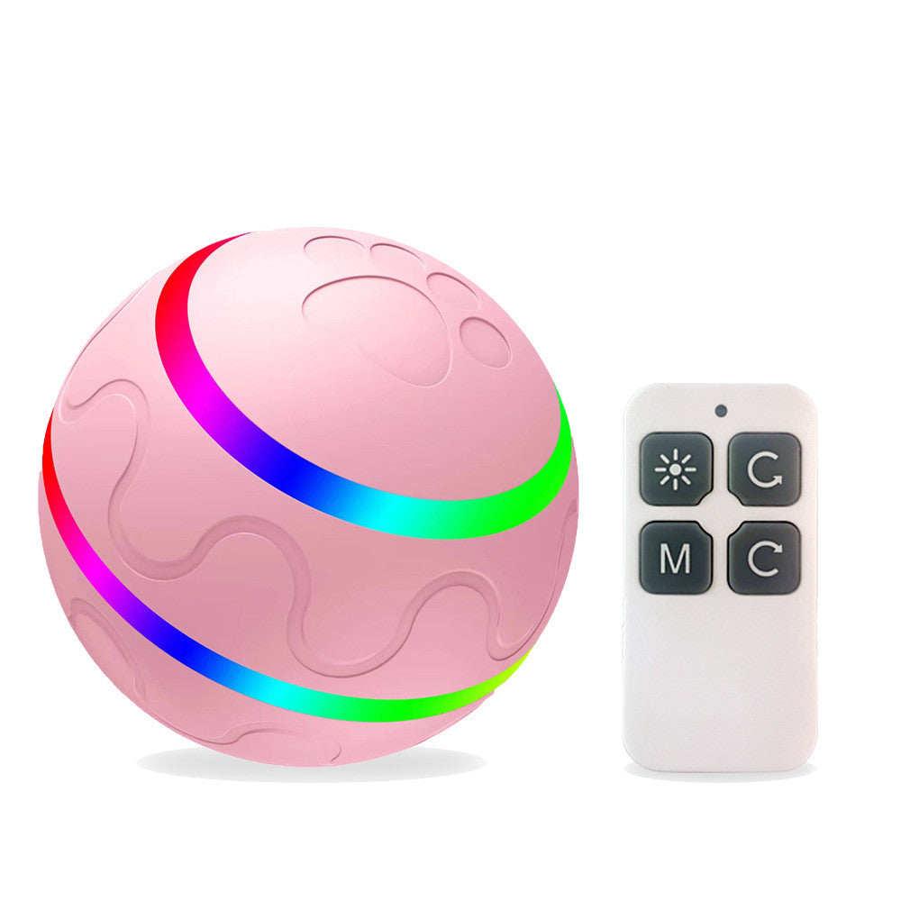 Pet Remote Control Ball Toy-Pet Accessories-LifeGetsEasy