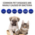 Pet Grooming Comb Bacteria UV Detection Comb-Pet Accessories-LifeGetsEasy