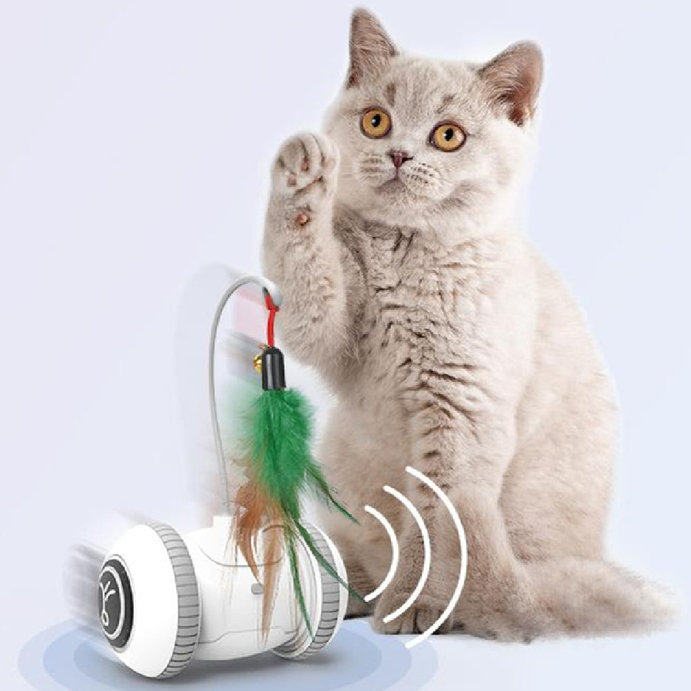Interactive Cat Toy-Pet Accessories-LifeGetsEasy